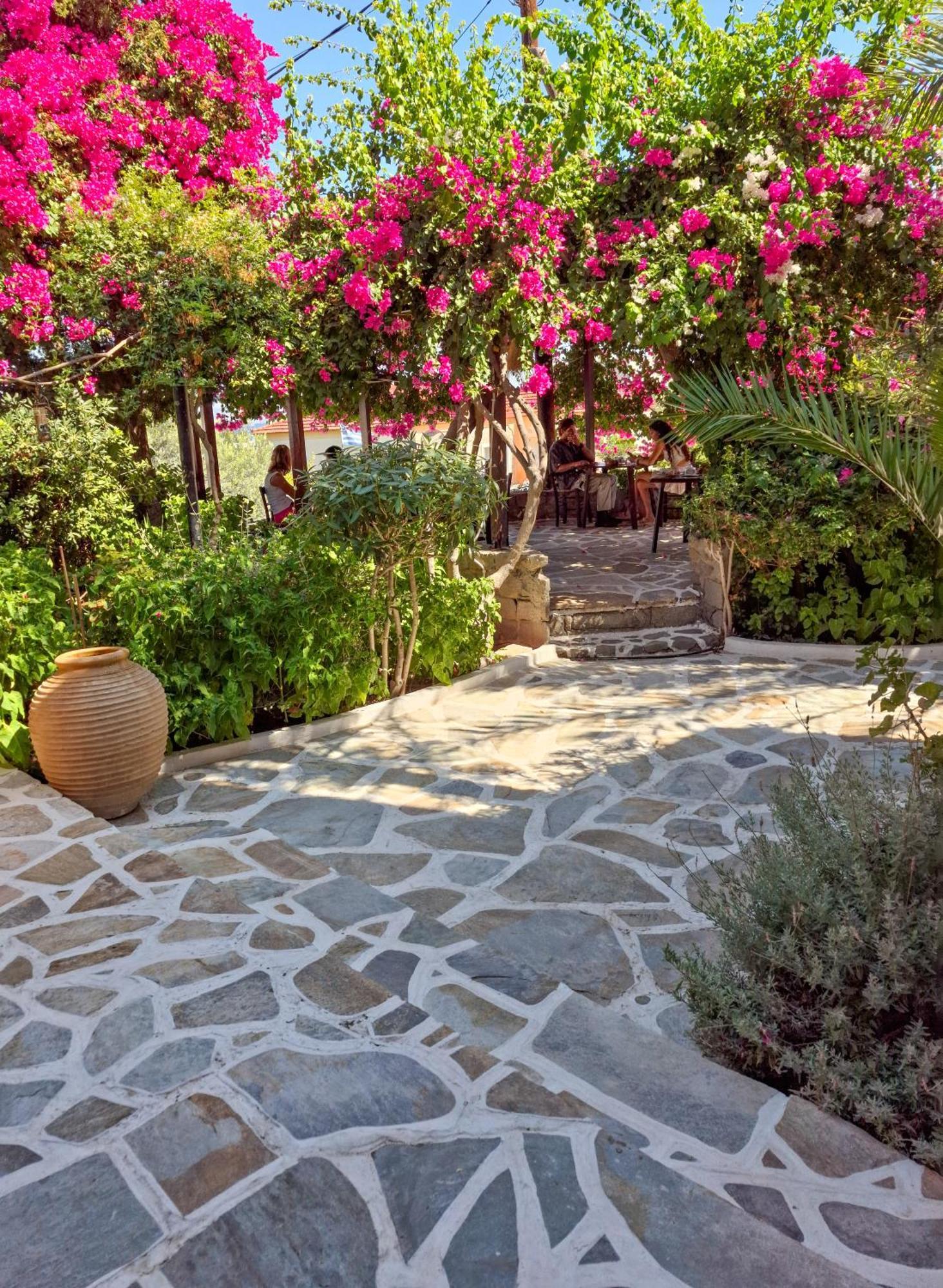 Vagia Traditional, Aegina Island المظهر الخارجي الصورة